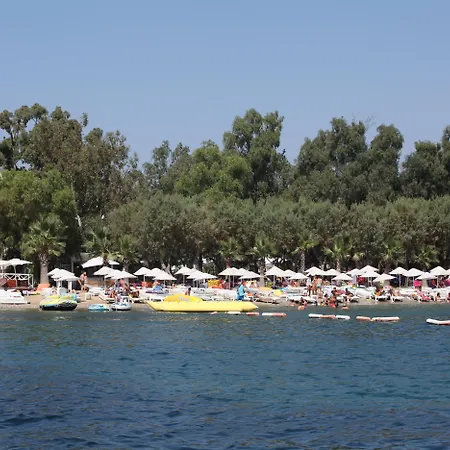 Okaliptus Otel-3