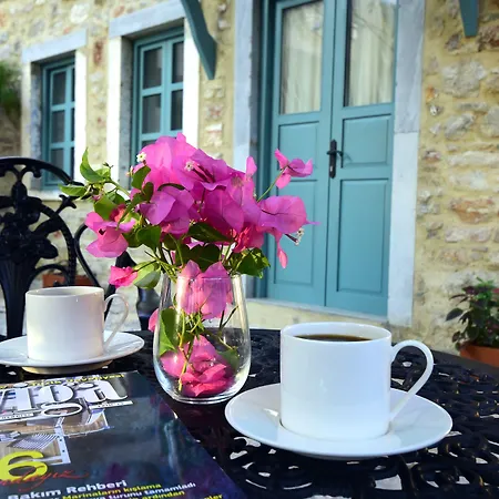 Oalis Boutique Hotel-3